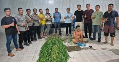 Temukan Tanaman Ganja, Polsek Tanjung Morawa Amankan Pelaku