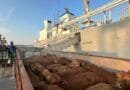 Pelindo Multi Terminal Group Catat Pertumbuhan Trafik _Livestock_ sebesar 6,7 Persen