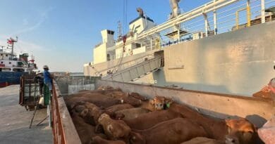 Pelindo Multi Terminal Group Catat Pertumbuhan Trafik _Livestock_ sebesar 6,7 Persen