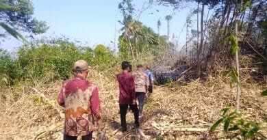Pemdes Gunung Hejo Gercap Padamkan Api, Camat Darangdan Berikan Apresiasi