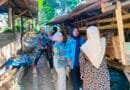 Camat Darangdan Lakukan Monitoring Program Ketahanan Pangan Budidaya Ternak Domba