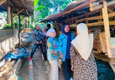 Camat Darangdan Lakukan Monitoring Program Ketahanan Pangan Budidaya Ternak Domba