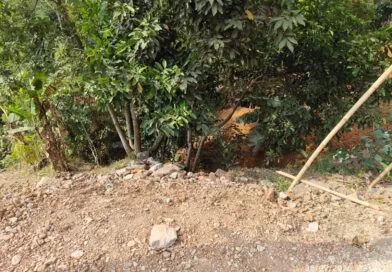 Tebing Setinggi 50 Meter di Kampung Nagrak Longssor, Pesawahan Terancam Lelongsoran